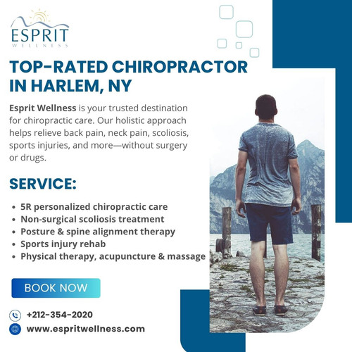 Top Rated Chiropractor in Harlem, NY.jpg