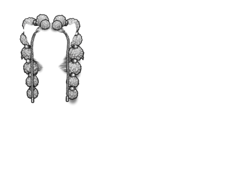 white silver kind.png