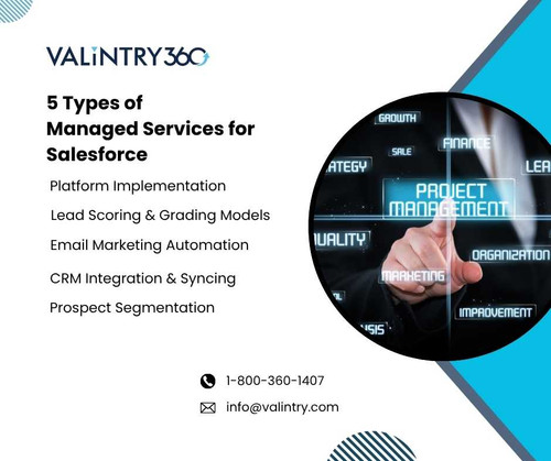 5 Types of Managed Services for Salesforce.jpg