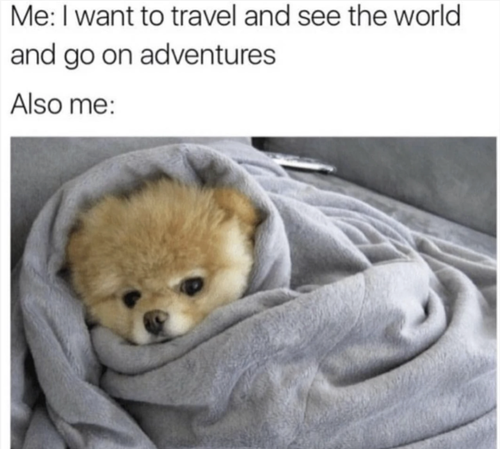 screenshot 2025 07 10 at 2.23.44 pm 720.png