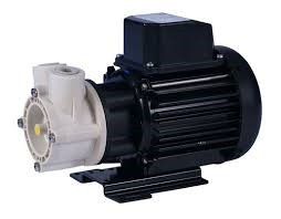 PU49161.jpg