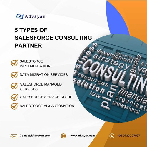 5 Types of  Salesforce Consulting Partner.jpg