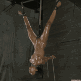IMG 9729.gif