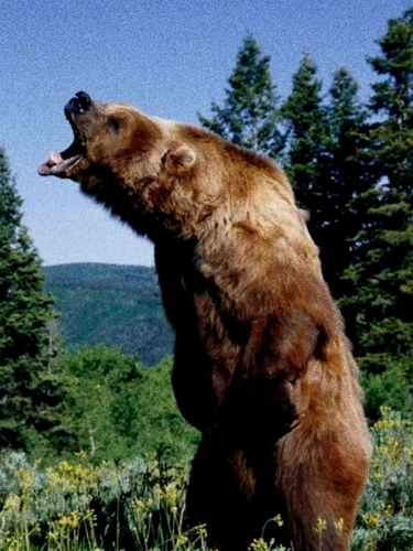 o4zpuWoiBiAcZAM0AiAAIMEtflBBsBgECB8KNi~tplv tiktokx origin