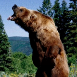 o4zpuWoiBiAcZAM0AiAAIMEtflBBsBgECB8KNi~tplv tiktokx origin