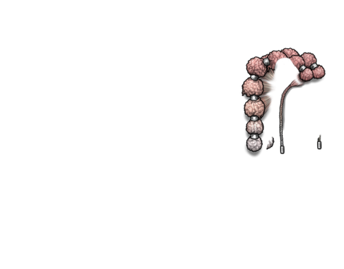 lotus silver neutral.png