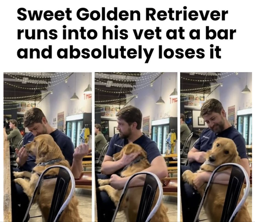 Screenshot 2025 07 10 at 8.42.53 AM.png