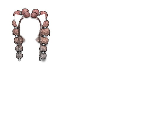 lotus silver kind.png