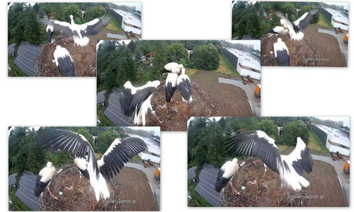 Bilder11.jpg