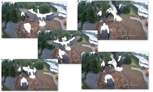 Bilder9.jpg