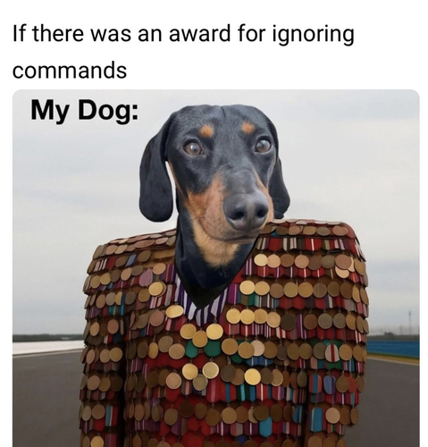 Screenshot 2025 07 10 at 5.39.03 PM.png