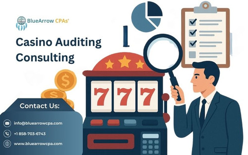 Casino Auditing Consulting.jpg