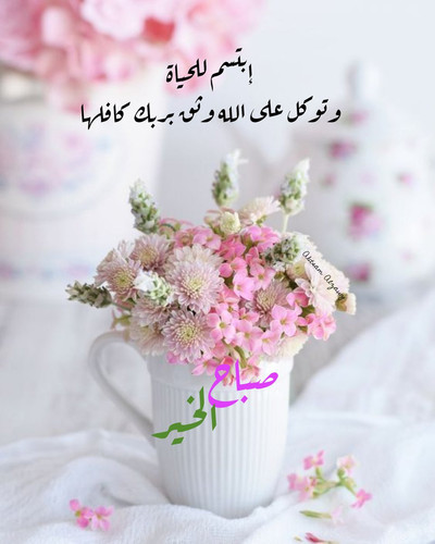 Gs9qFK0WkAAjrLT.jpg