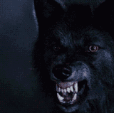 3dd741e5ea7b40db64e3499fff64c304.gif