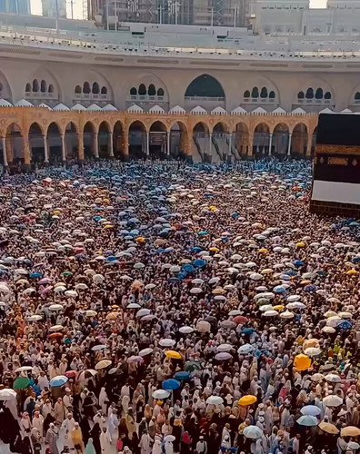 BV8yt PNwjVJWSzj.jpg