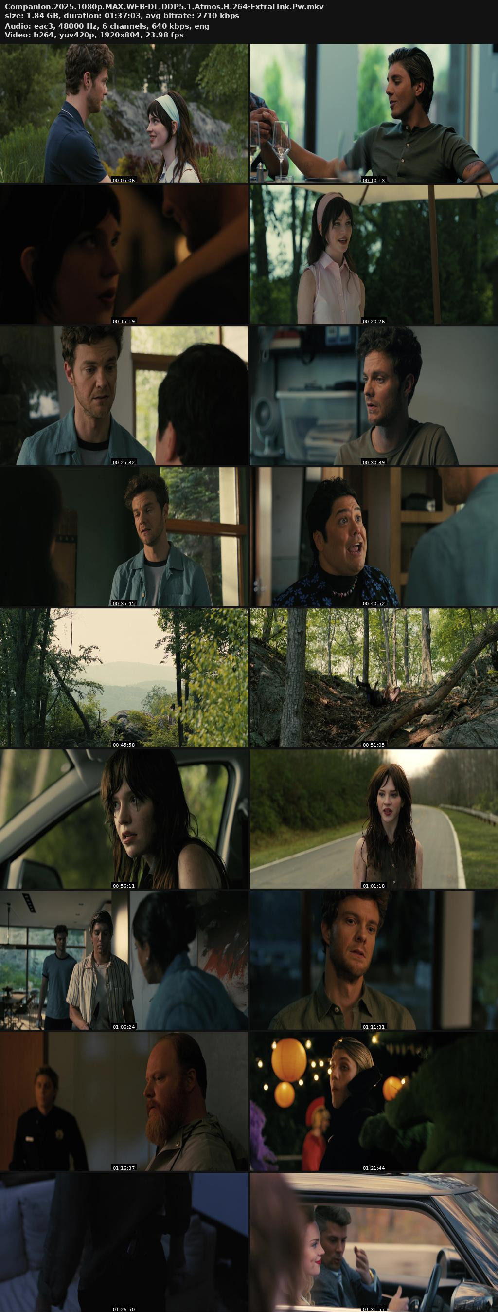 Companion (2025) Screenshot