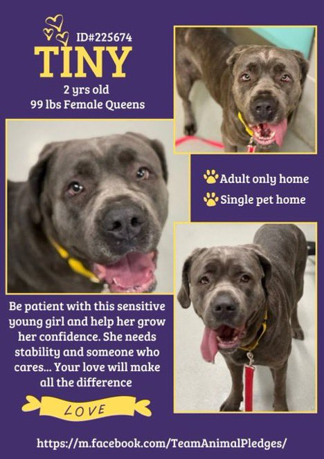 Gp7 aksWgAAXrGi?format=jpg.jpg