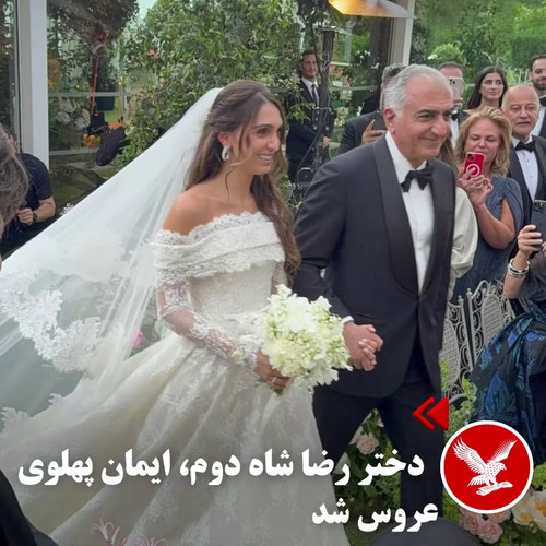 61cuW MjVvPVBRNK.jpg