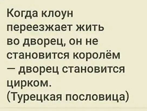 504956434 9951987998250239 7791790725003270843 n.jpg? nc cat=110&ccb=1 7& nc sid=833d8c& nc ohc=Nk6B.jpg