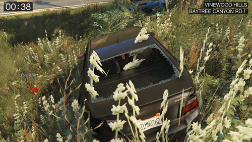 FiveM GTAProcess W0uBKaeiXz.jpg