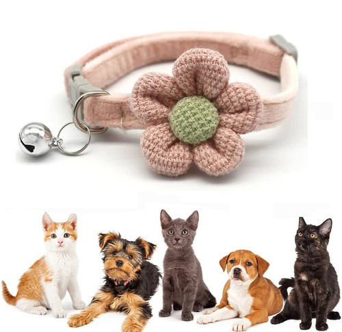 61PUxvs9n+L. AC SL1000 .jpg