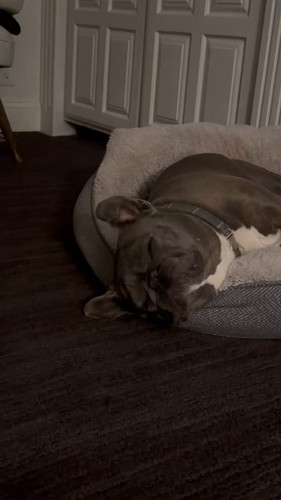 AyGyGiul 8g GPXl.jpg