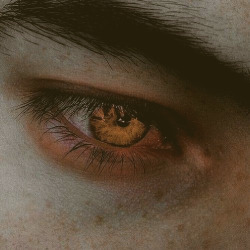 tumblr ddede97f815a9c40f1d6cd4fdd940305 3f572e20 250.jpg