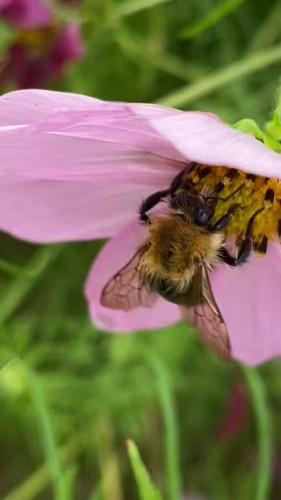 J bU30PkFxn8wrAO.jpg