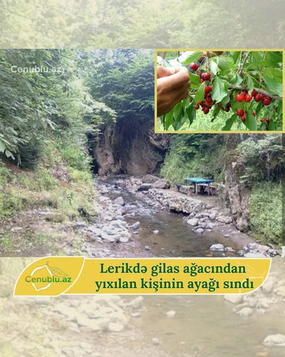 505542493 1638465280287442 6825449880800405059 n.jpg?stp=dst jpg s640x640 tt6& nc cat=100&ccb=1 7& n.jpg