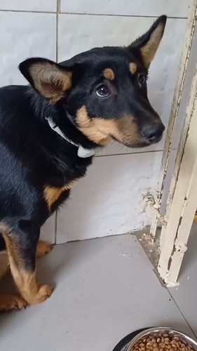 NY 5bNUBHoAXRv5A.jpg