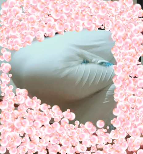 IMG 20250610 001150.png