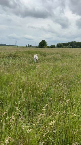 xv 9yjnWpfBkHehT.jpg