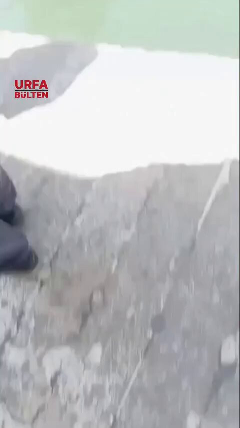  QRQdIKKKagCNAiV.jpg