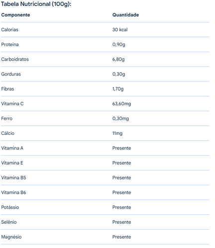 Captura de tela 2025 06 09 045325.png