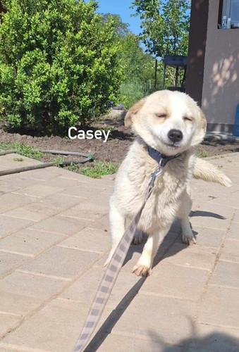 Gs6KHmRWkAAQVJI.jpg