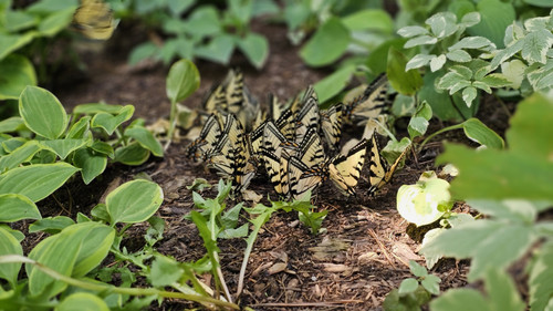 504842577 4053062914930179 6017128435859190463 n.jpg