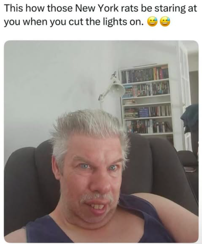 Screenshot 2025 06 09 at 9.11.56 AM.png