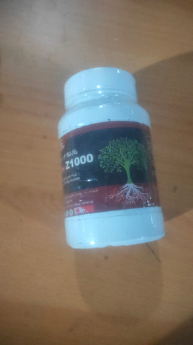 WhatsApp Image 2025 06 09 at 05.16.11.jpg