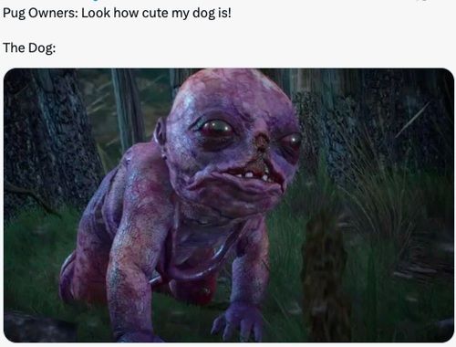 Screenshot 2025 06 10 at 9.19.17 AM.png