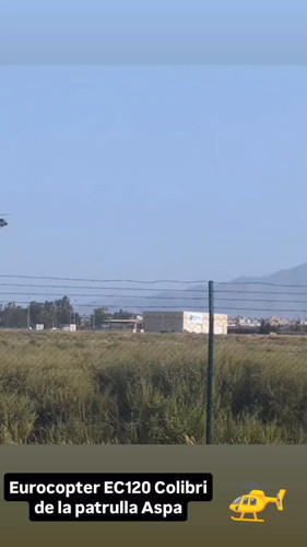 MIF5hXhdIm GV vP.jpg