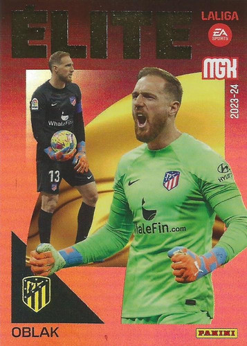 379608 22326115Fr.jpg