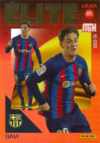 379608 22326108Fr.jpg