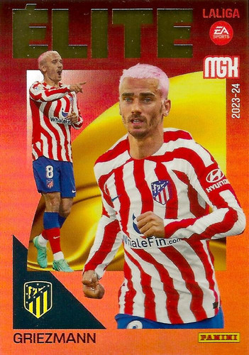 379608 22326109Fr.jpg