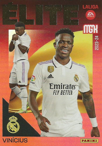 379608 22326119Fr.jpg