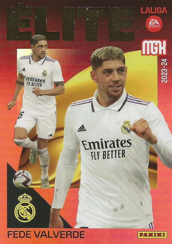 379608 22326106Fr.jpg