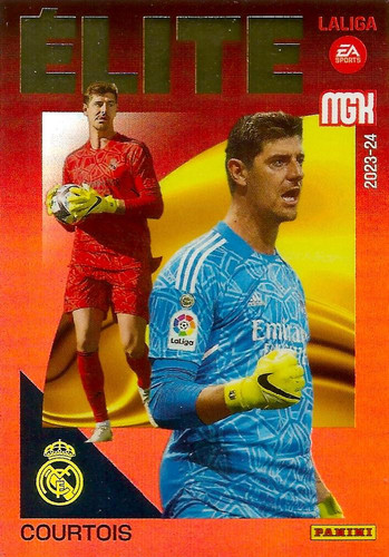 379608 22326105Fr.jpg