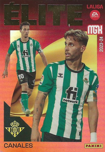 379608 22326104Fr.jpg