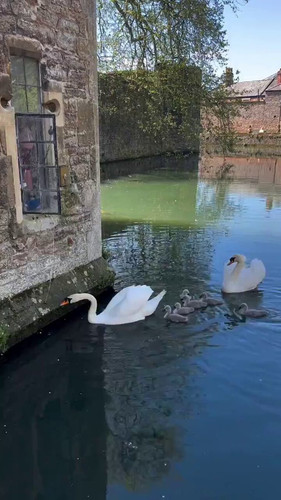 RMGCK89HoL JcmIz.jpg