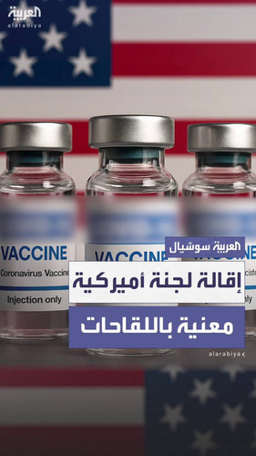 5tkzQOJIo0lss9H .jpg