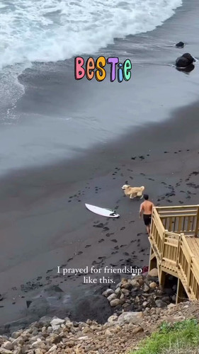 bGm k06RRgcDBGEx.jpg